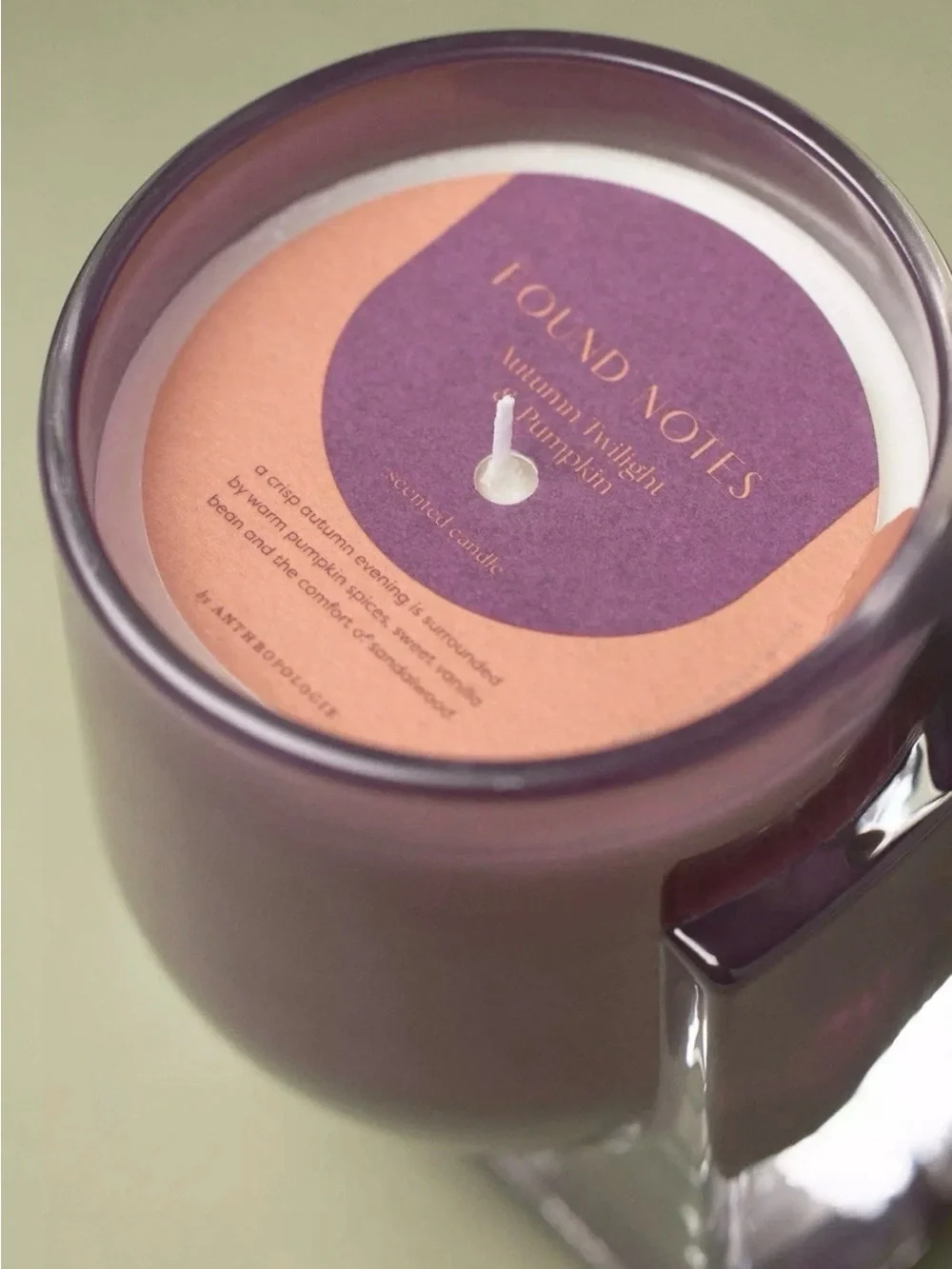 NEW Anthropologie Found Notes Autumn Twilight & Pumpkin Jar Candle 5.2oz